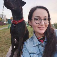 Догситтер