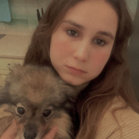 Догситтер