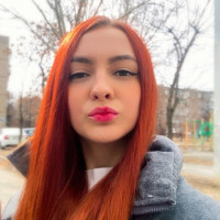 Догситтер