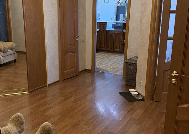 Догситтер Алина М. — передержка собак, Тольятти, фото 5