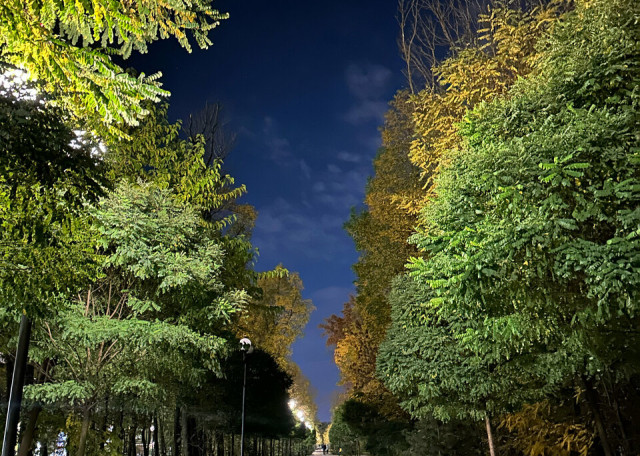 Догситтер Дмитрий Ш. — передержка собак, РостовнаДону, фото 8