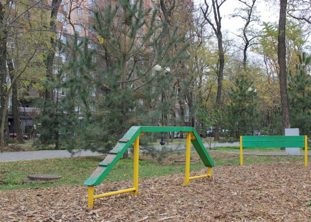 Догситтер Дмитрий Ш. — передержка собак, РостовнаДону, фото 9