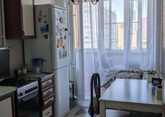 Догситтер Данил В. — передержка собак, Москва, фото 9