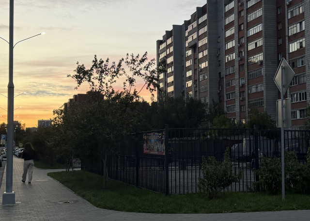 Догситтер Ирина К. — передержка собак, Новосибирск, фото 4