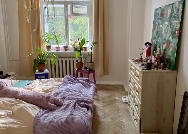 Догситтер Юлия М. — передержка собак, Москва, фото 8