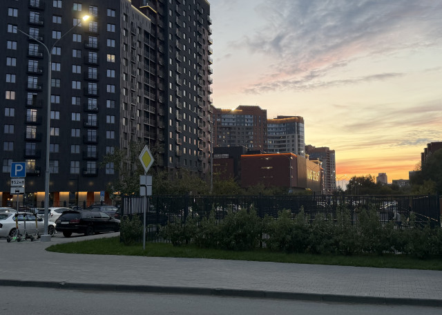 Догситтер Ирина К. — передержка собак, Новосибирск, фото 5
