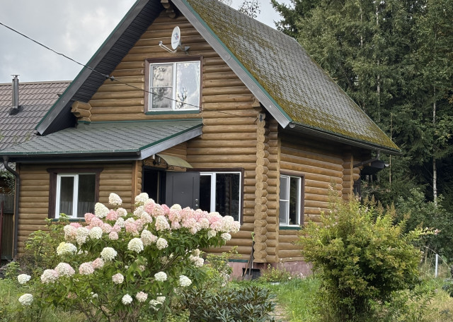 Догситтер Анастасия К. — передержка собак, Ленинградская, фото 12