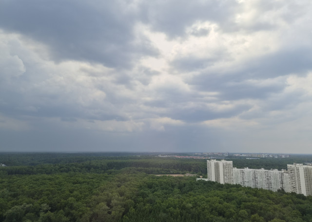 Догситтер Евгения Я. — передержка собак, Красногорск, фото 2