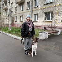 Догситтер