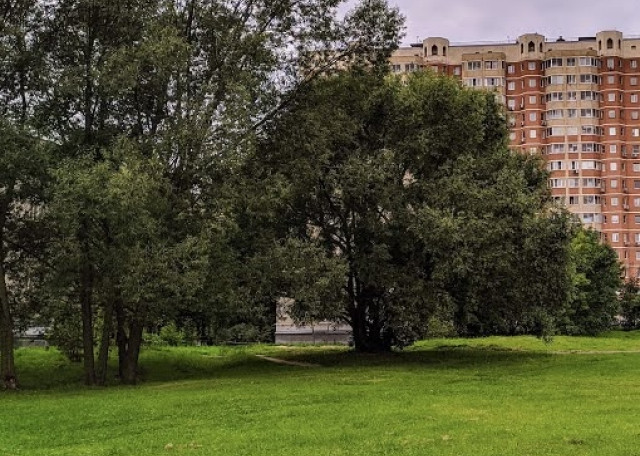 Догситтер Полина К. — передержка собак, Москва, фото 5