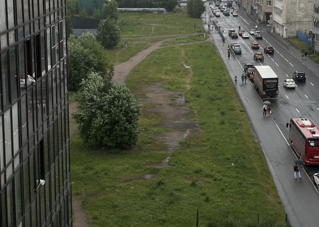 Догситтер Анастасия Р. — передержка собак, СанктПетербург, фото 8