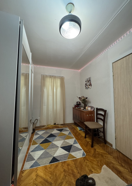 Догситтер Александра Л. — передержка собак, Москва, фото 14