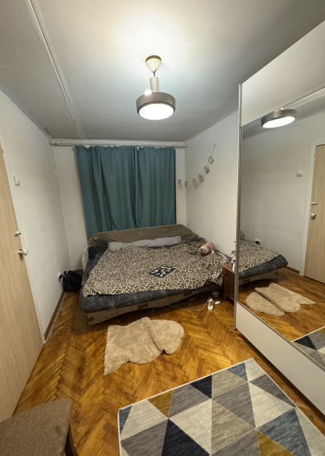 Догситтер Александра Л. — передержка собак, Москва, фото 15