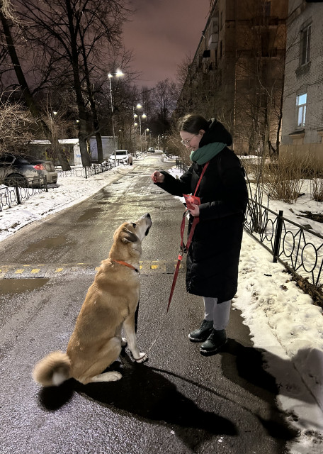 Догситтер Ангелина Б. — передержка собак, СанктПетербург, фото 4