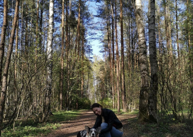 Догситтер Ангелина Б. — передержка собак, СанктПетербург, фото 12
