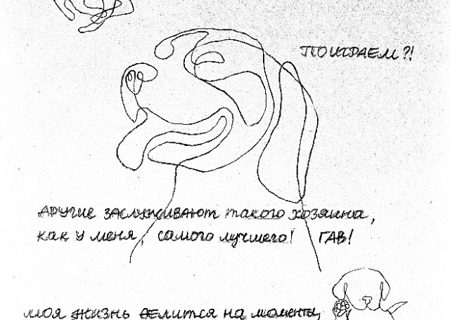 Догситтер Ксения О. — передержка собак, Москва, фото 5
