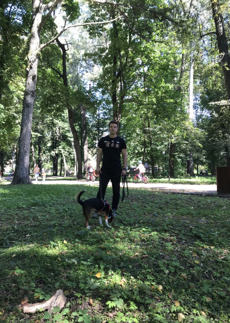 Догситтер Наталья З. — передержка собак, Советский, фото 6