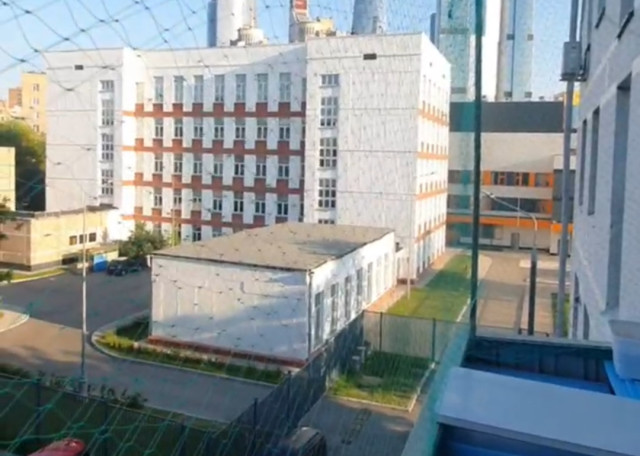 Догситтер Ольга Б. — передержка собак, Москва, фото 16