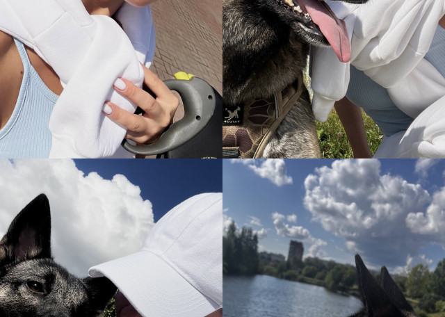 Догситтер Юлия А. — передержка собак, Москва, фото 12