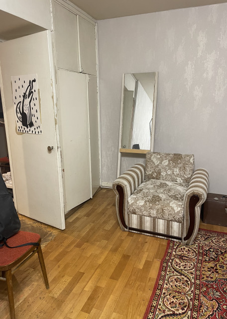 Догситтер Аня Б. — передержка собак, Москва, фото 18