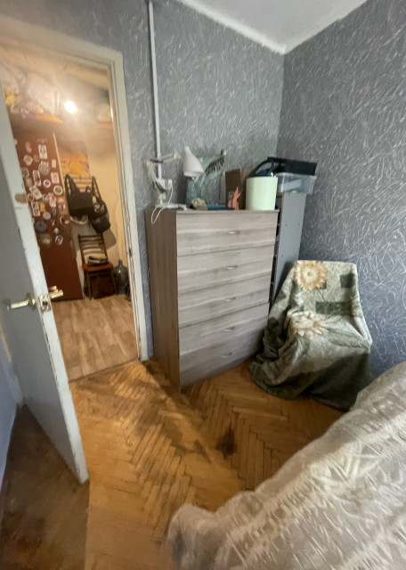 Догситтер Аня Б. — передержка собак, Москва, фото 17