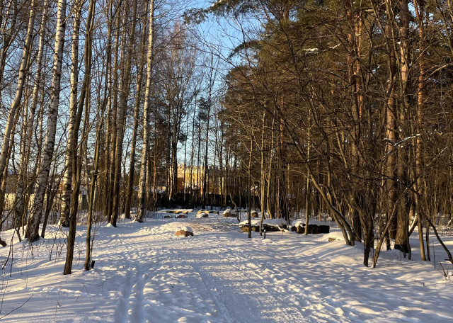 Догситтер Анастасия П. — передержка собак, СанктПетербург, фото 14