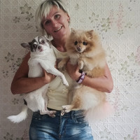 Догситтер