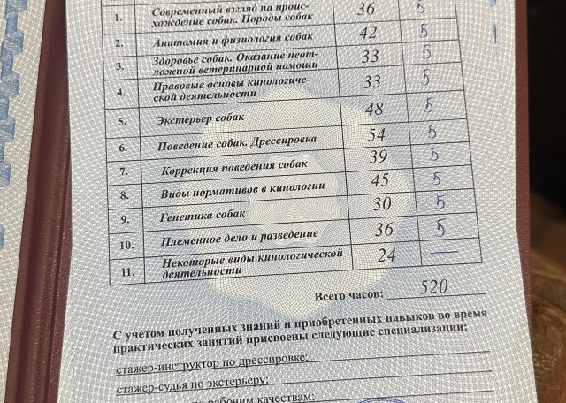 Догситтер Елена М. — передержка собак, СанктПетербург, фото 3