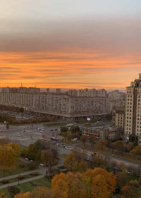 Догситтер Полина С. — передержка собак, СанктПетербург, фото 5