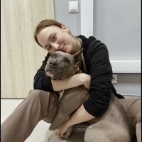 Догситтер