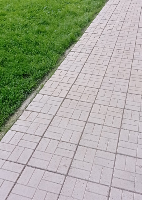 Догситтер Станислав Д. — передержка собак, Красноярск, фото 17