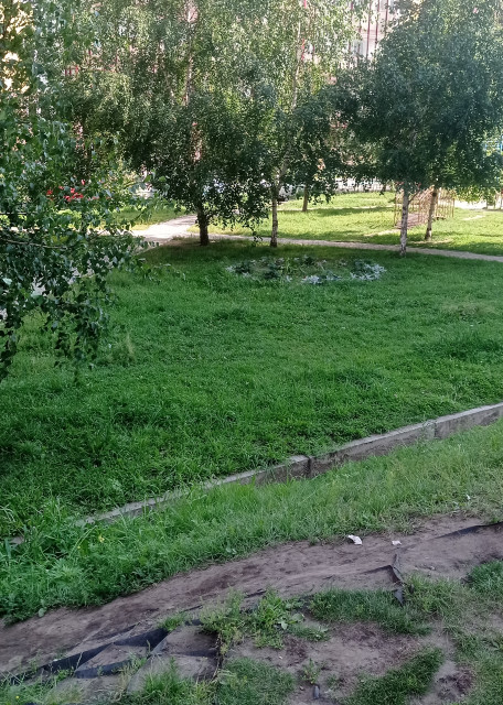 Догситтер Станислав Д. — передержка собак, Красноярск, фото 16
