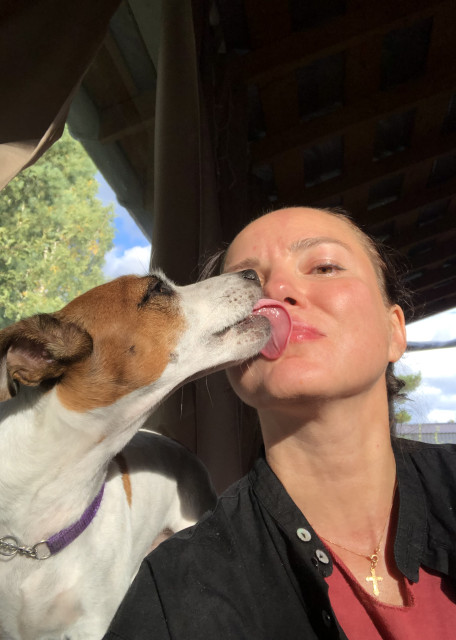 Догситтер Юлия Б. — передержка собак, ОреховоЗуевский, фото 3