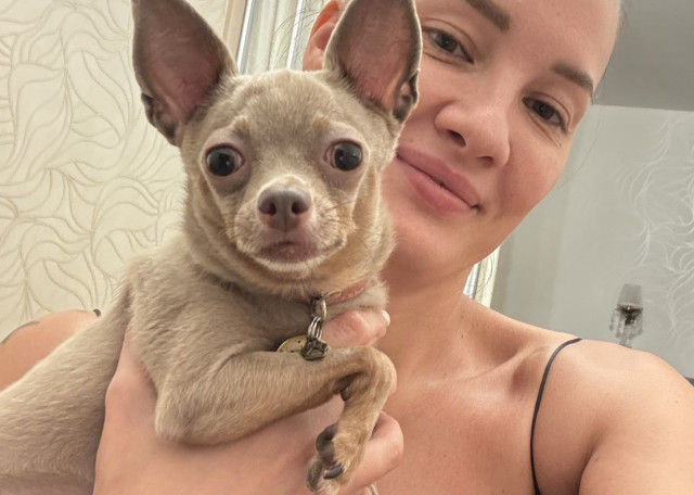 Догситтер Анна Н. — передержка собак, Москва, фото 15