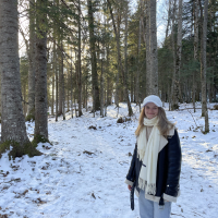 Догситтер