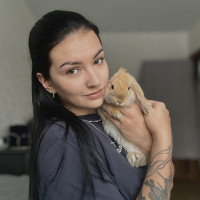 Догситтер