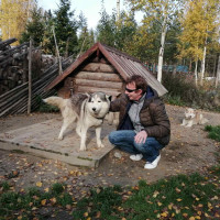 Догситтер