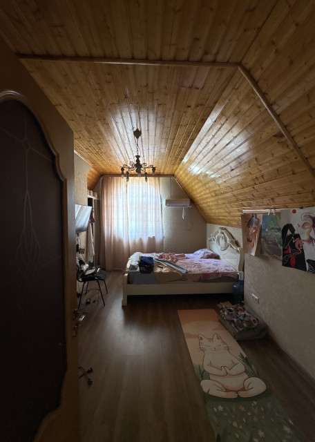 Догситтер Альбина Б. — передержка собак, Хостинский, фото 6