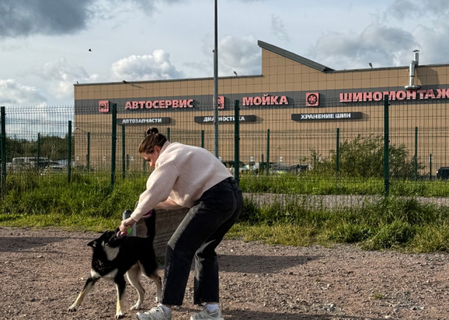 Догситтер Анастасия П. — передержка собак, посёлок, фото 3