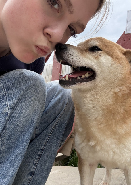 Догситтер Таисия С. — передержка собак, СанктПетербург, фото 17