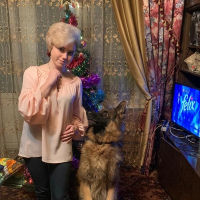 Догситтер