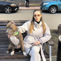 Догситтер