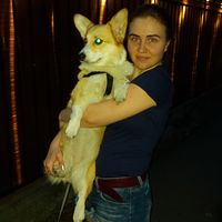 Догситтер