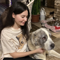 Догситтер Анна
