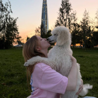 Догситтер