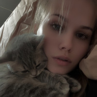 Догситтер