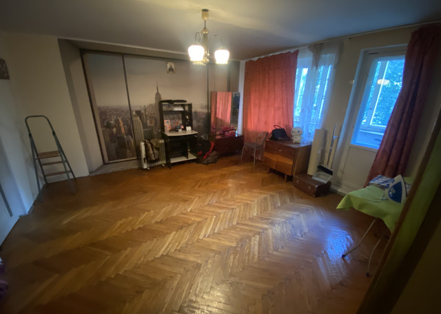 Догситтер Сашенька З. — передержка собак, СанктПетербург, фото 1