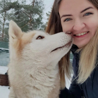 Догситтер