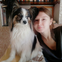 Догситтер