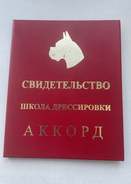 Догситтер Екатерина Ж. — передержка собак, СанктПетербург, фото 20